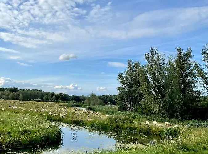 De Zuileshoeve Bed & Breakfast