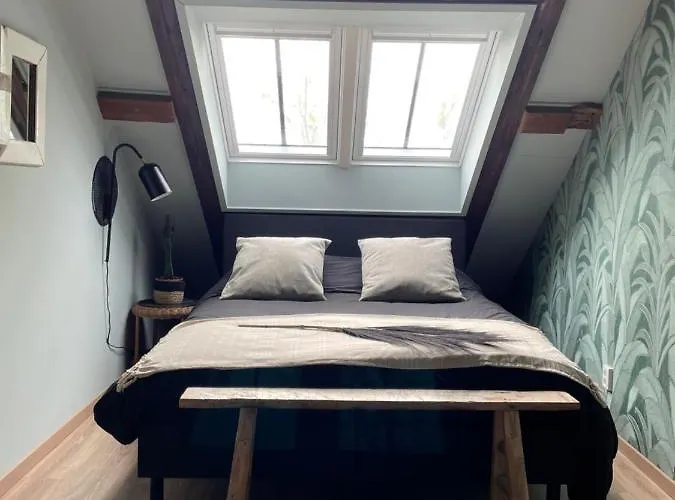 De Zuileshoeve 多德雷赫特